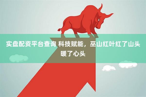 实盘配资平台查询 科技赋能，巫山红叶红了山头暖了心头